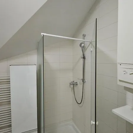 Vila Apartment Bled Lake Daire