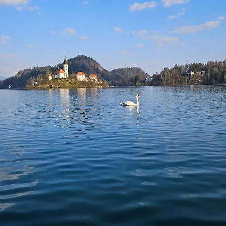 Διαμέρισμα Vila Apartment Bled Lake