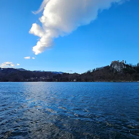 Vila Apartment Bled Lake Appartement