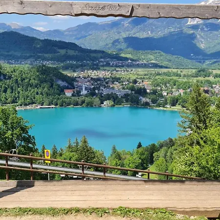 Vila Apartment Bled Lake Daire *