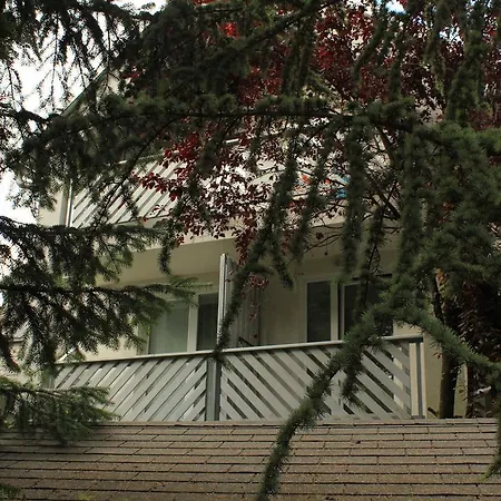 Апартаменты Vila Apartment Bled Lake Блед
