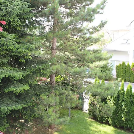 Vila Apartment Bled Lake Апартаменты