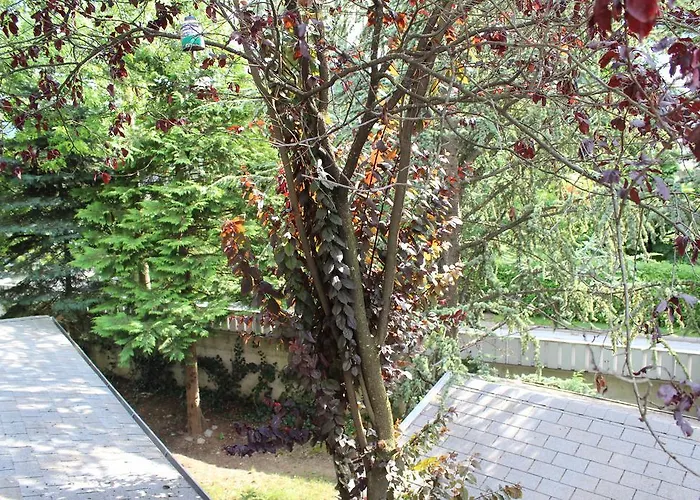 Apartma Vila Apartment Bled Lake *